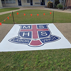 MSHS-signage